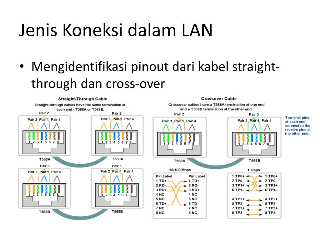 PPT - Perencanaan dan Kabel Jaringan PowerPoint Presentation, free
