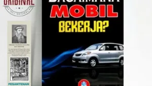Bagaimana Wayland Mobile Bekerja